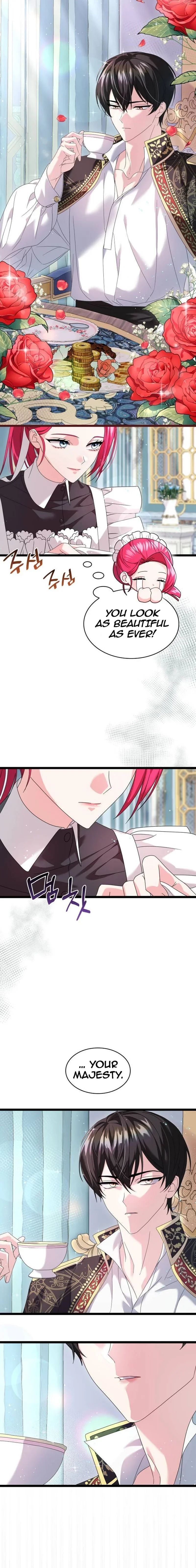 Chapter 3 - Image 16