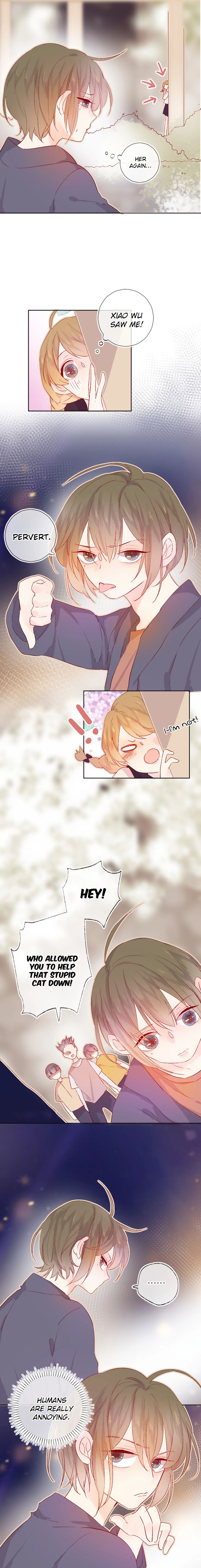 Chapter 13 - Image 3