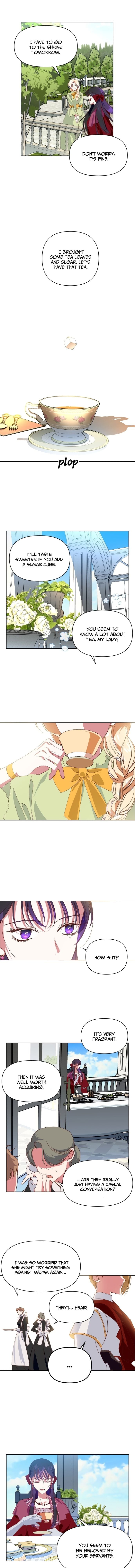 Chapter 1 - Image 15