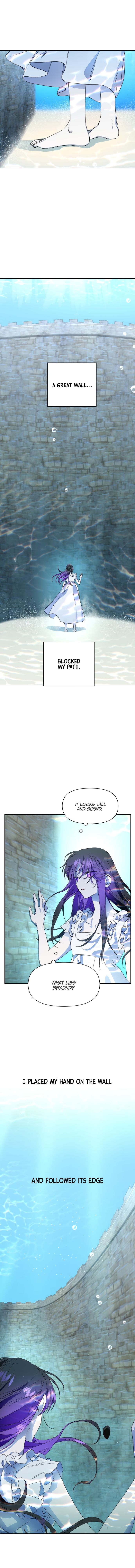 Chapter 17 - Image 5