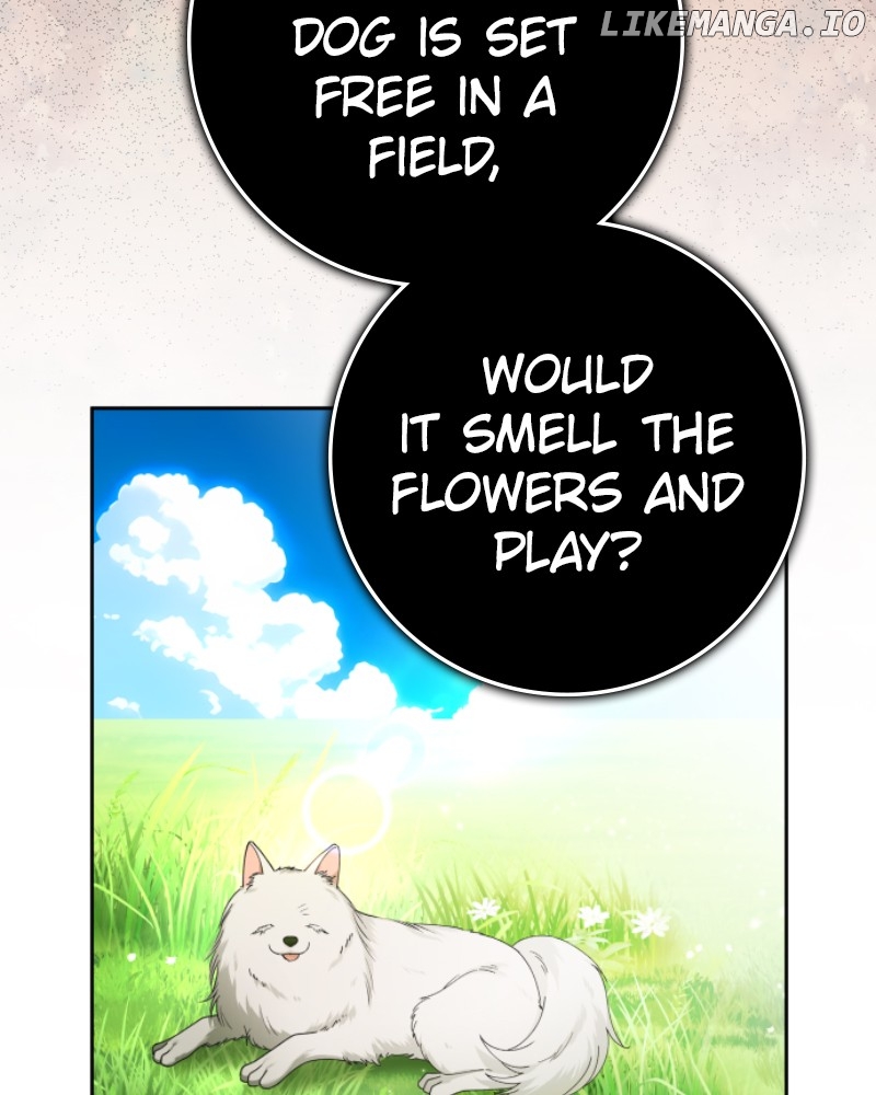 Chapter 233 - Image 9