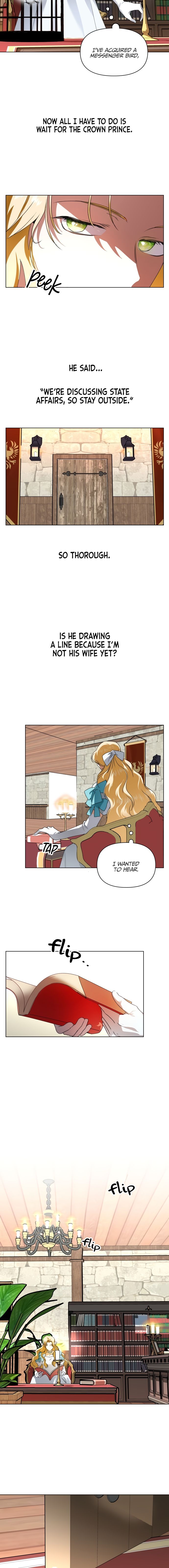 Chapter 3 - Image 17