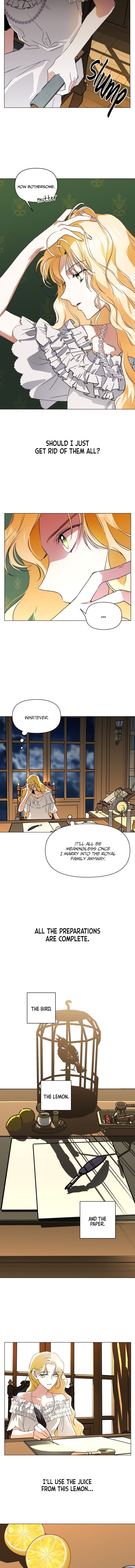 Chapter 5 - Image 11
