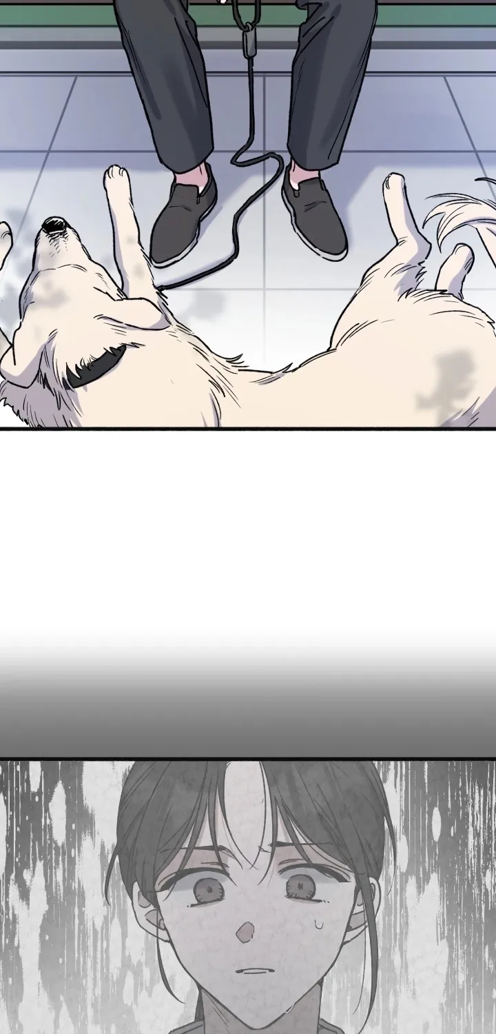 Chapter 14 - Image 18