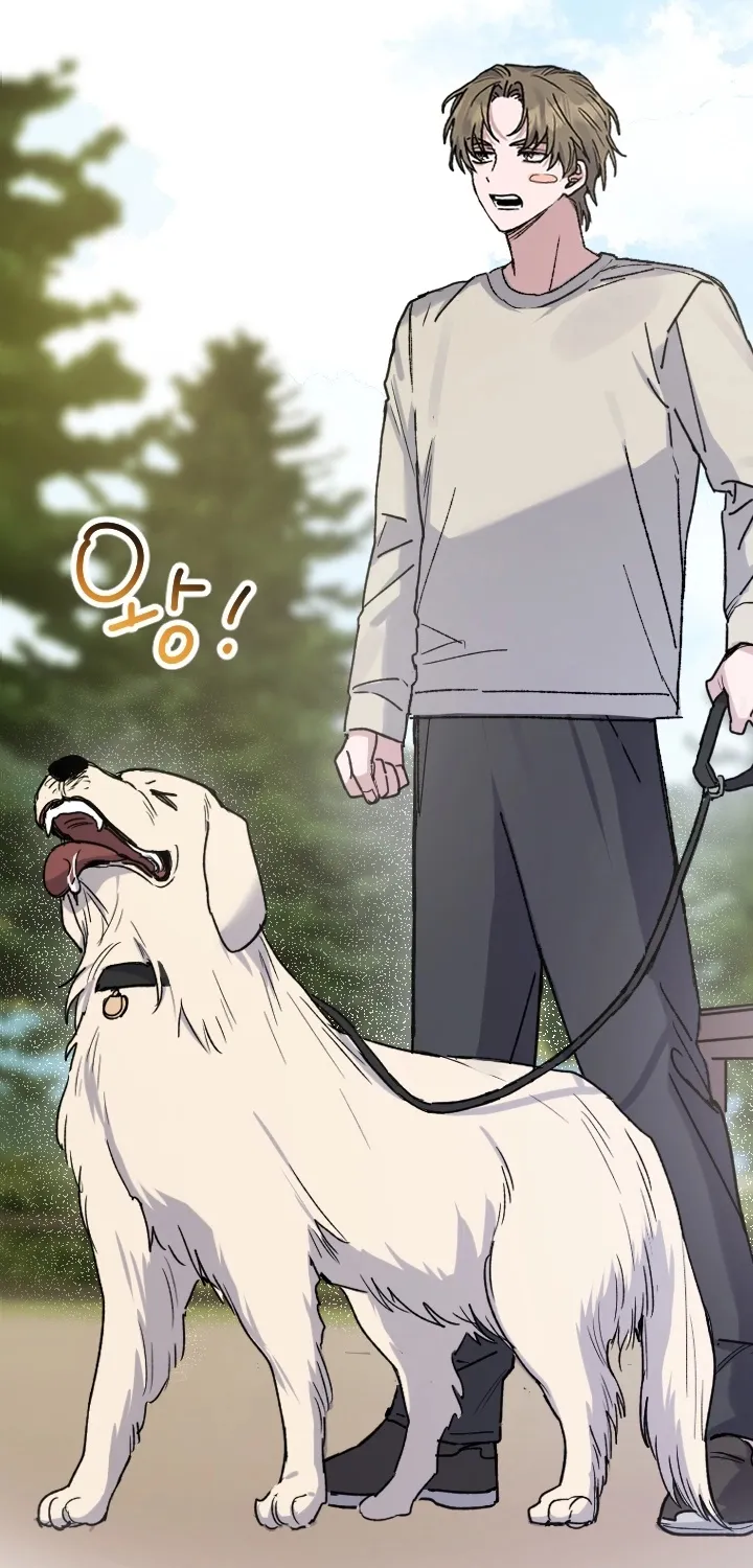 Chapter 14 - Image 27