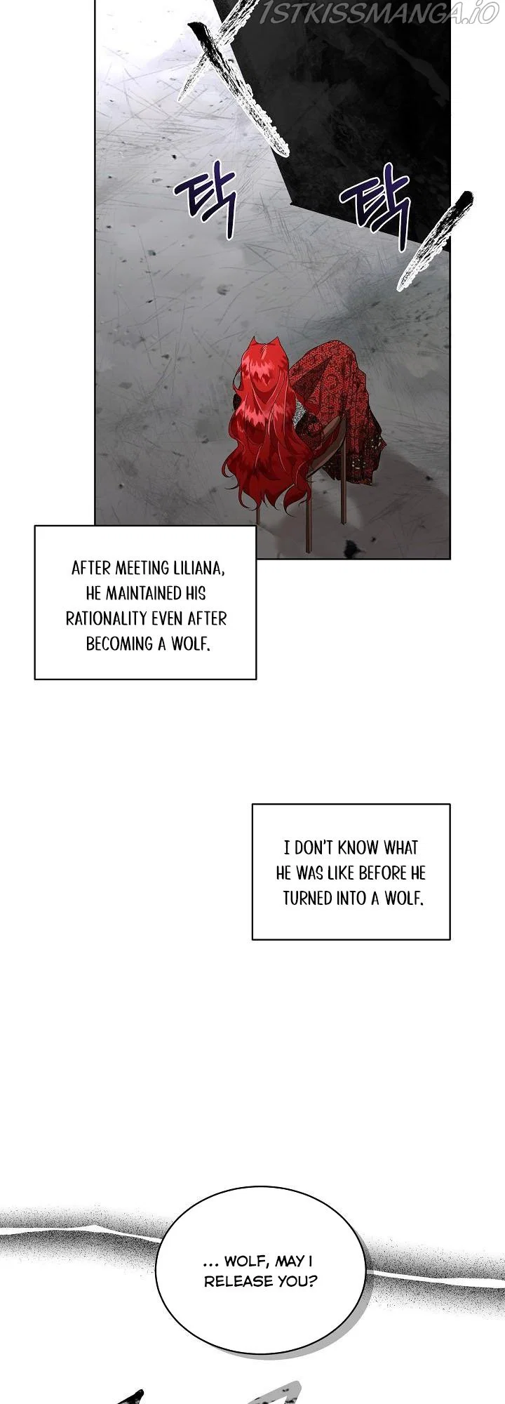 Chapter 1 - Image 22