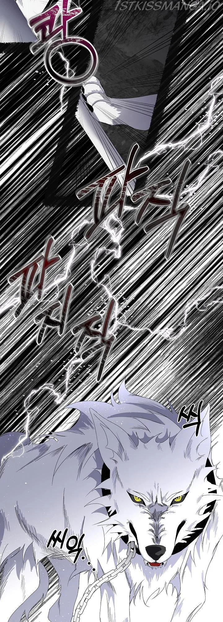 Chapter 1 - Image 25