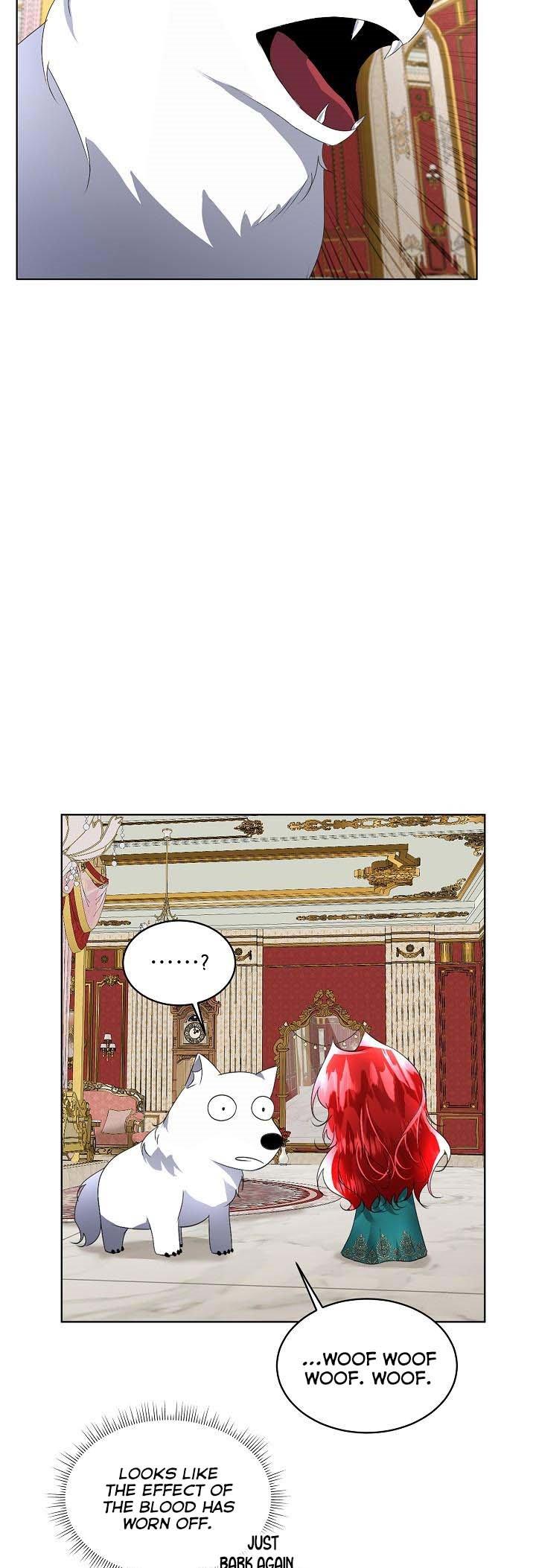 Chapter 16 - Image 8