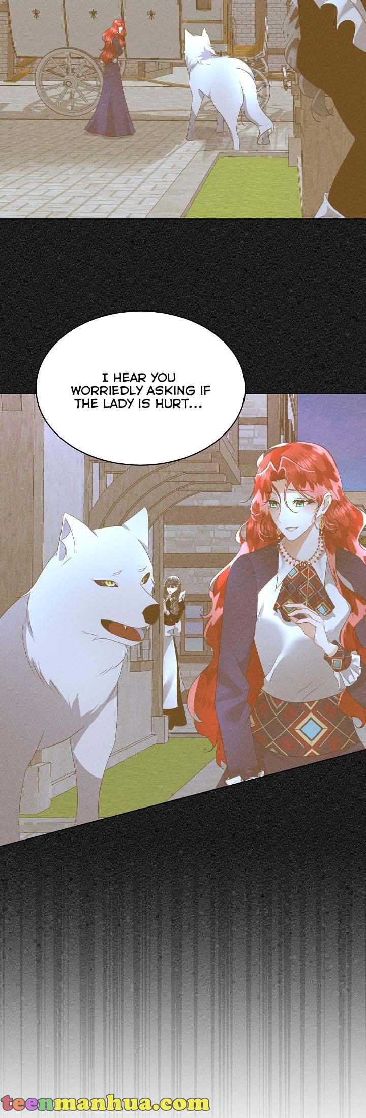 Chapter 19 - Image 5