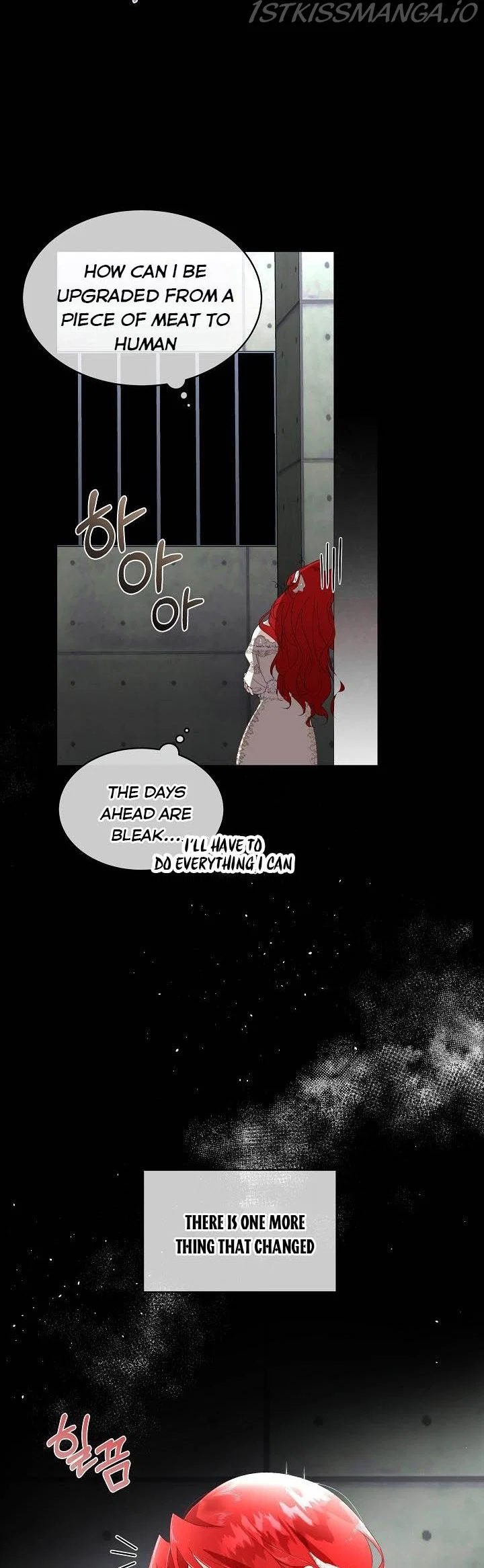 Chapter 2 - Image 11