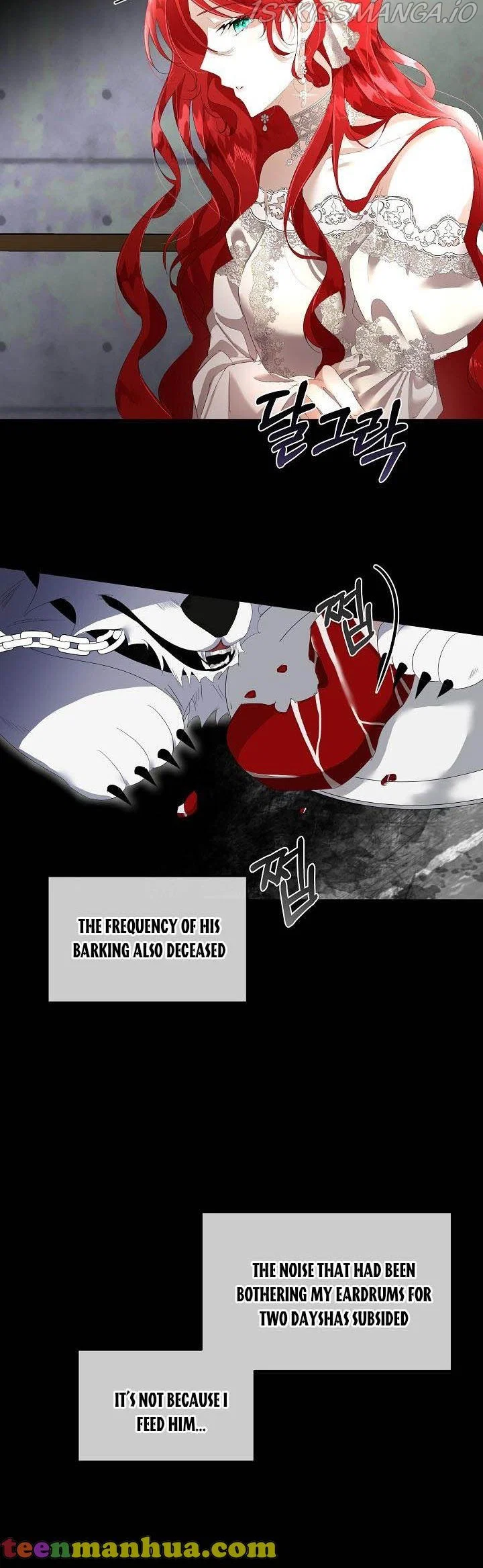 Chapter 2 - Image 12