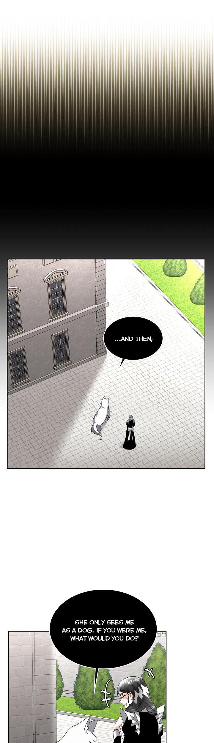 Chapter 21 - Image 13