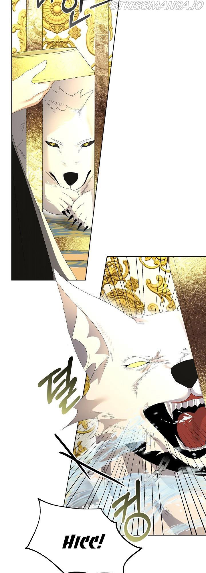 Chapter 3 - Image 27