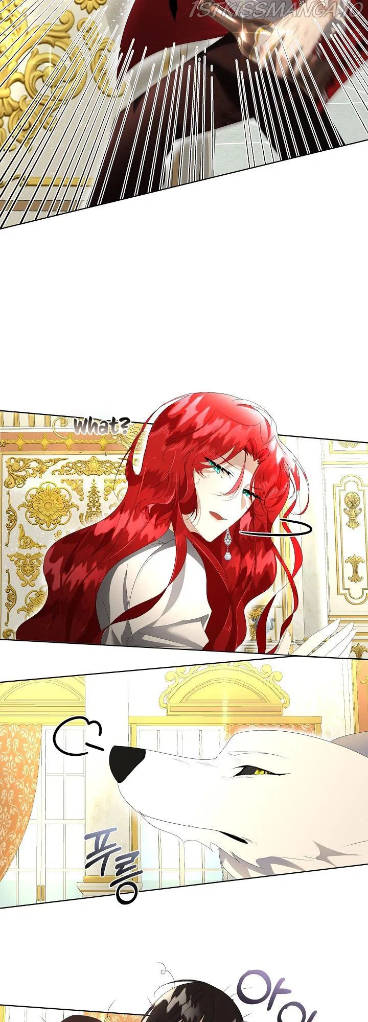 Chapter 3 - Image 36