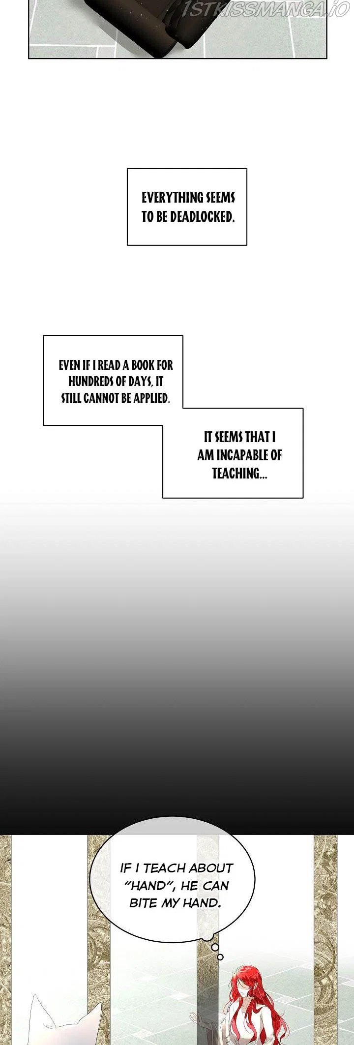 Chapter 4 - Image 5