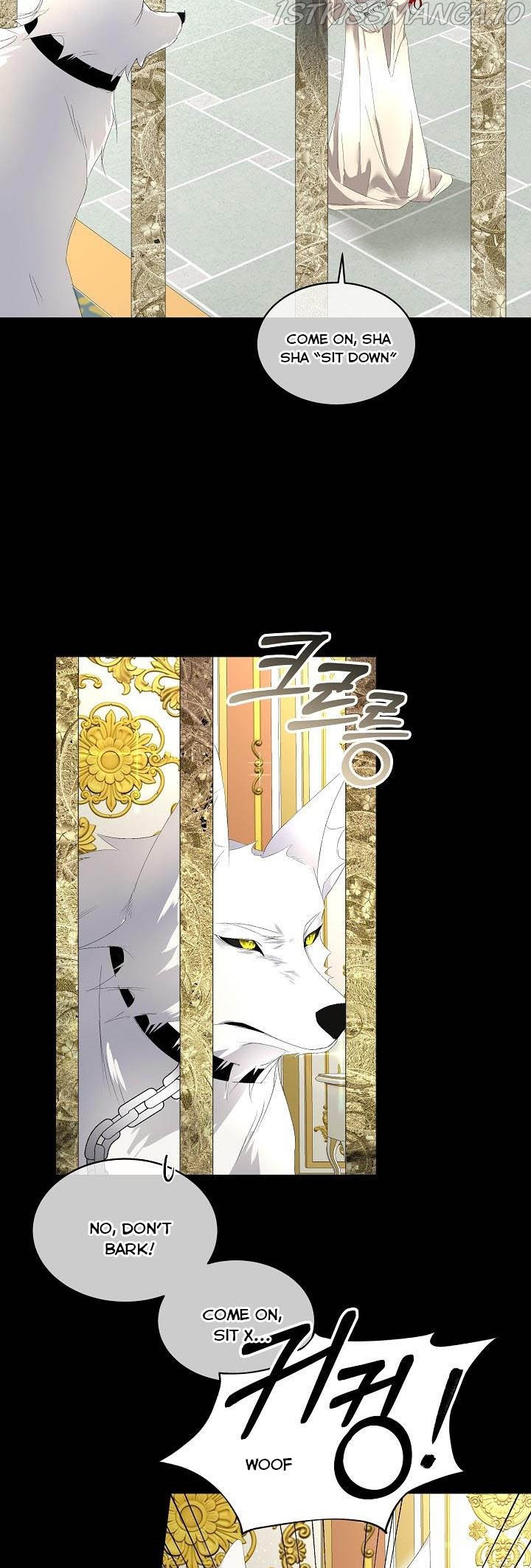 Chapter 4 - Image 6