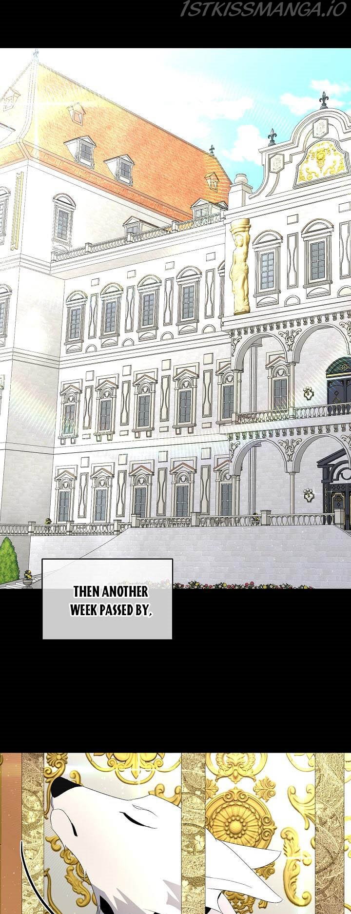 Chapter 4 - Image 9
