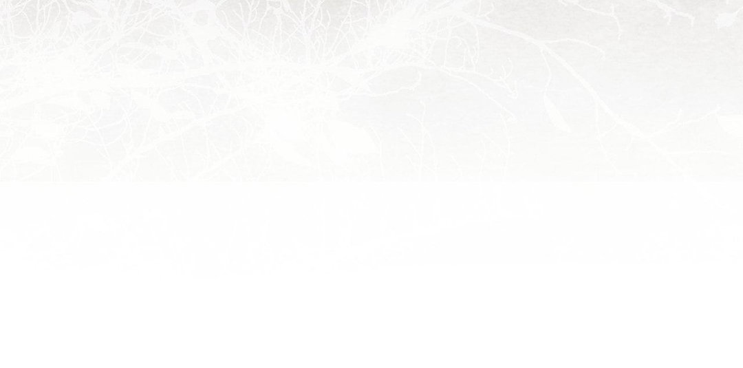 Chapter 11 - Image 91