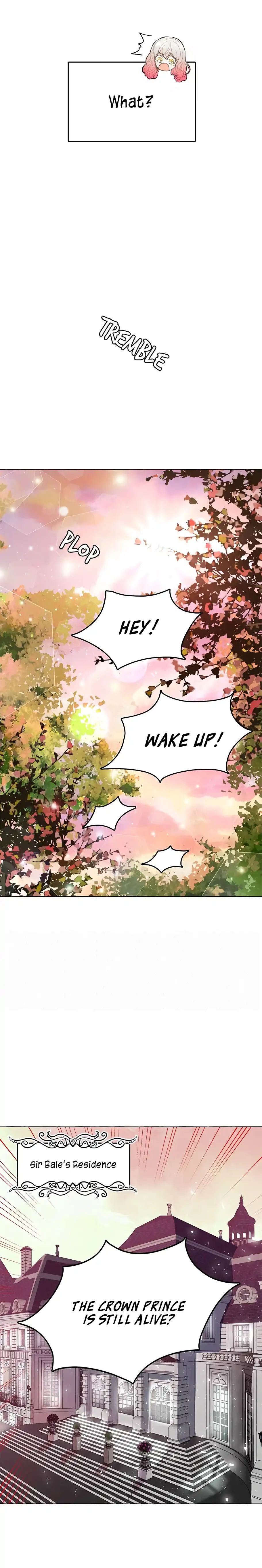 Chapter 5 - Image 2
