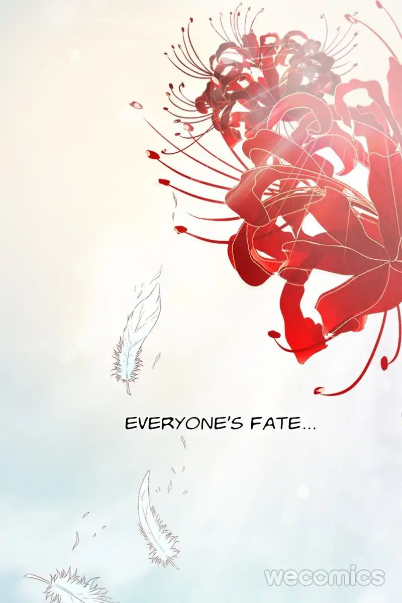 Chapter 2 - Image 3