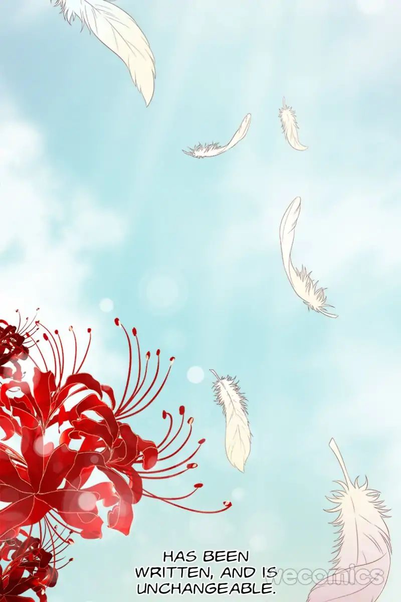Chapter 2 - Image 4