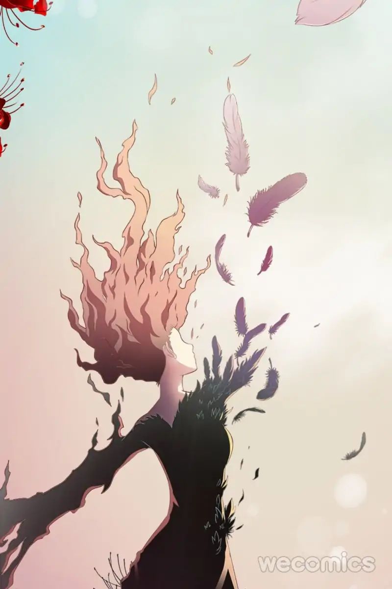 Chapter 2 - Image 5