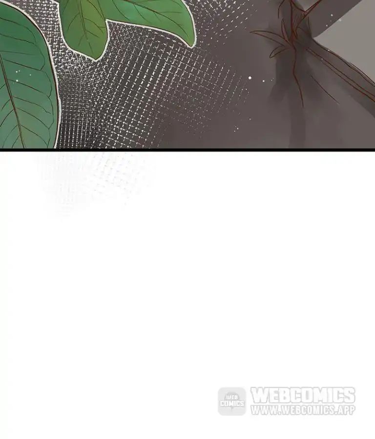 Chapter 11 - Image 14