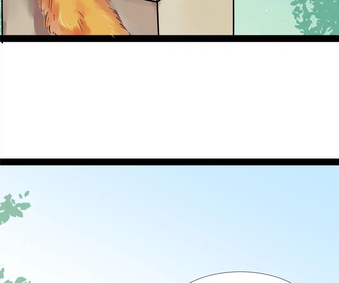 Chapter 9 - Image 4