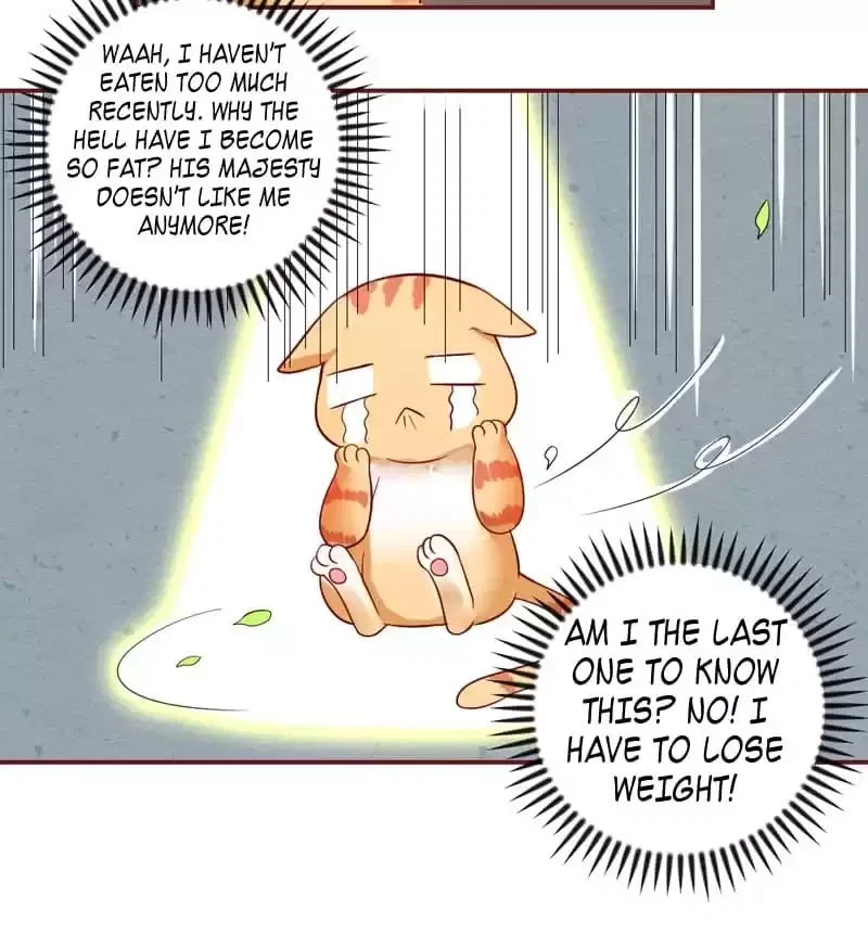 Chapter 206 - Image 46