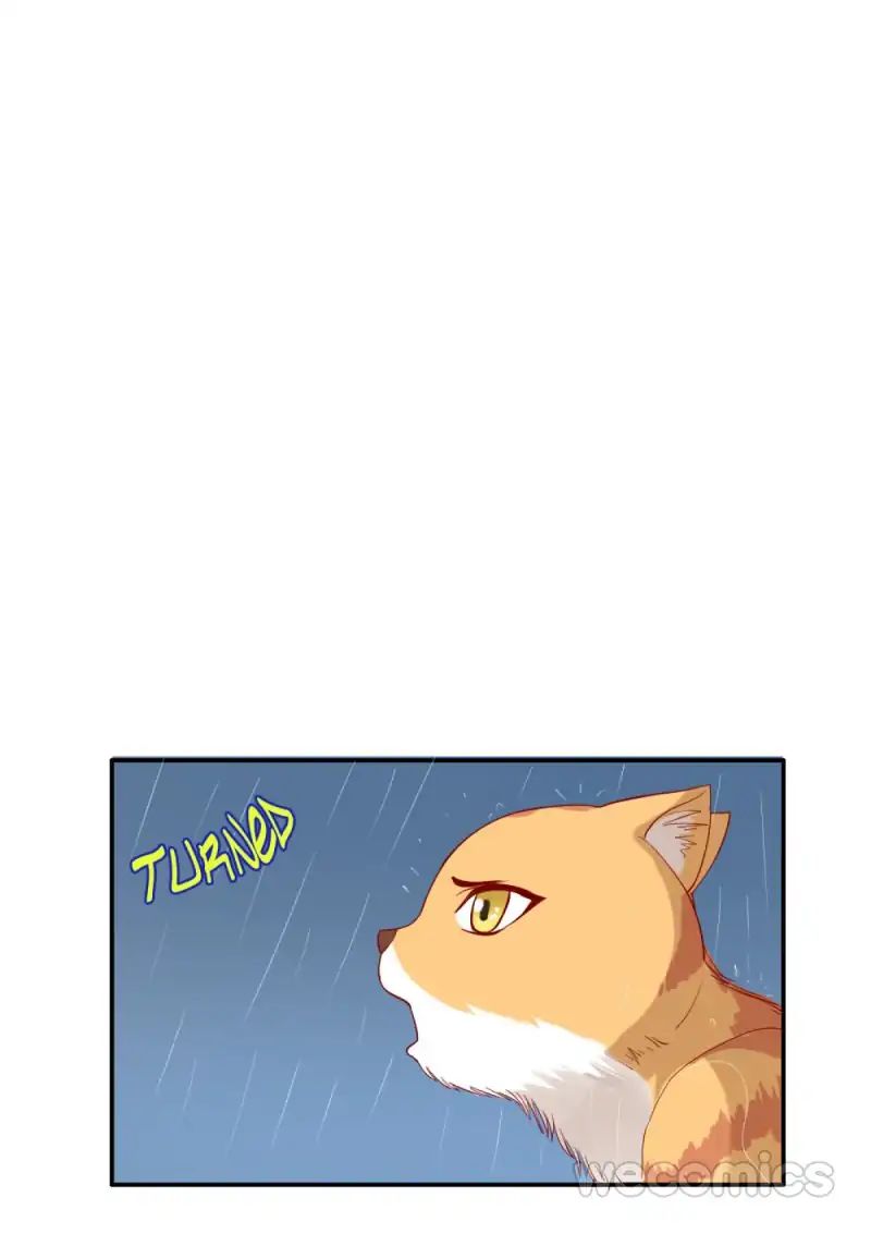 Chapter 41 - Image 13