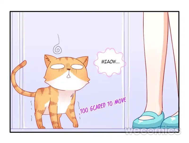 Chapter 53 - Image 11