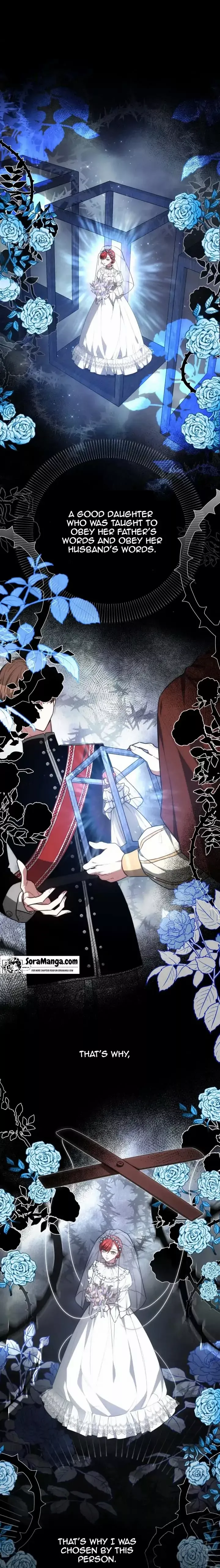 Chapter 1 - Image 19