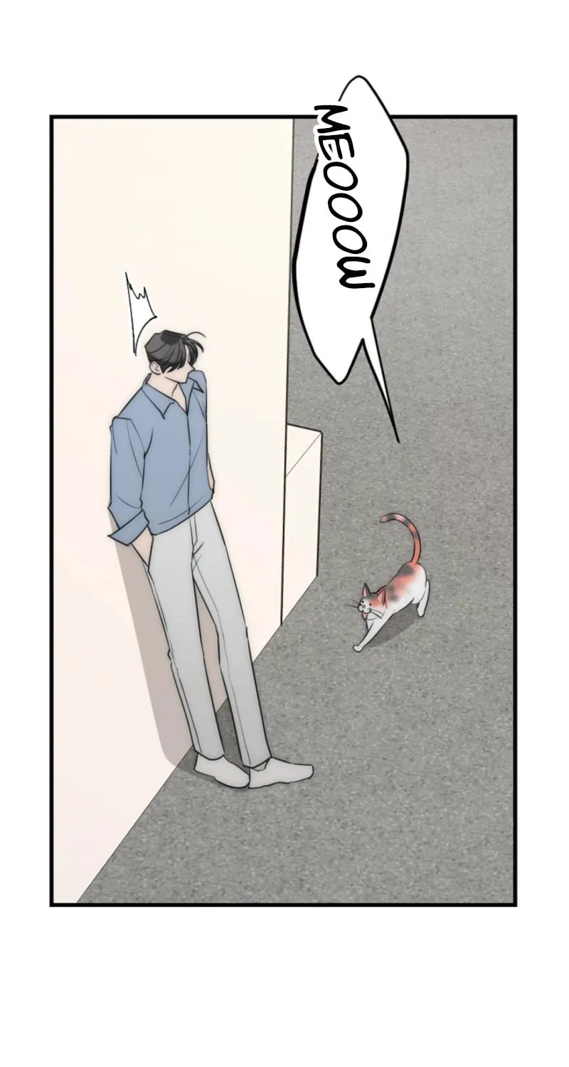 Chapter 12 - Image 6