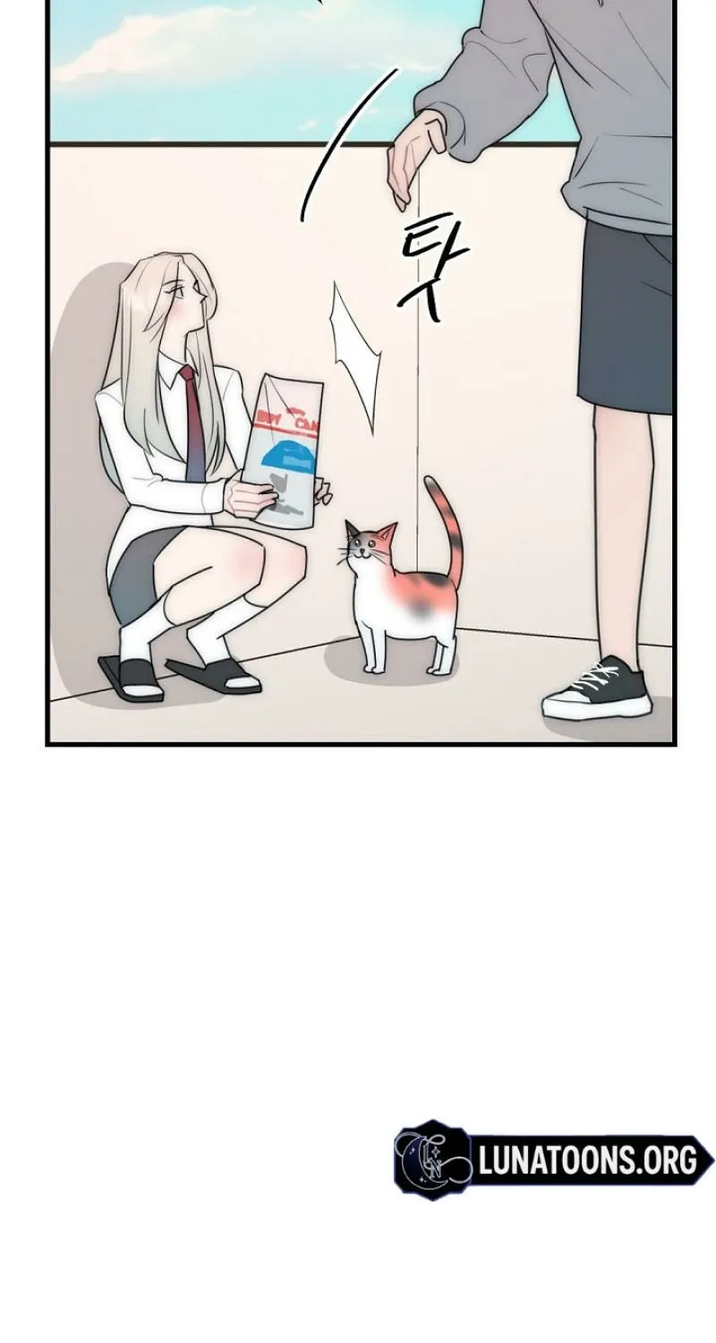 Chapter 20 - Image 10