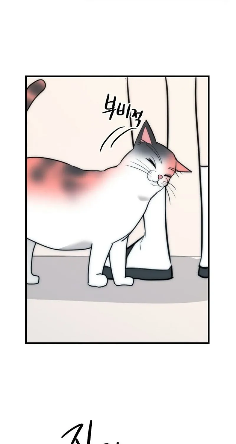 Chapter 20 - Image 4