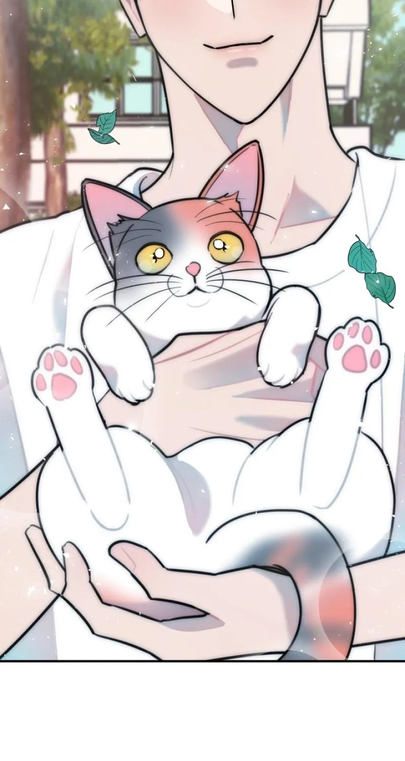 Chapter 24 - Image 28