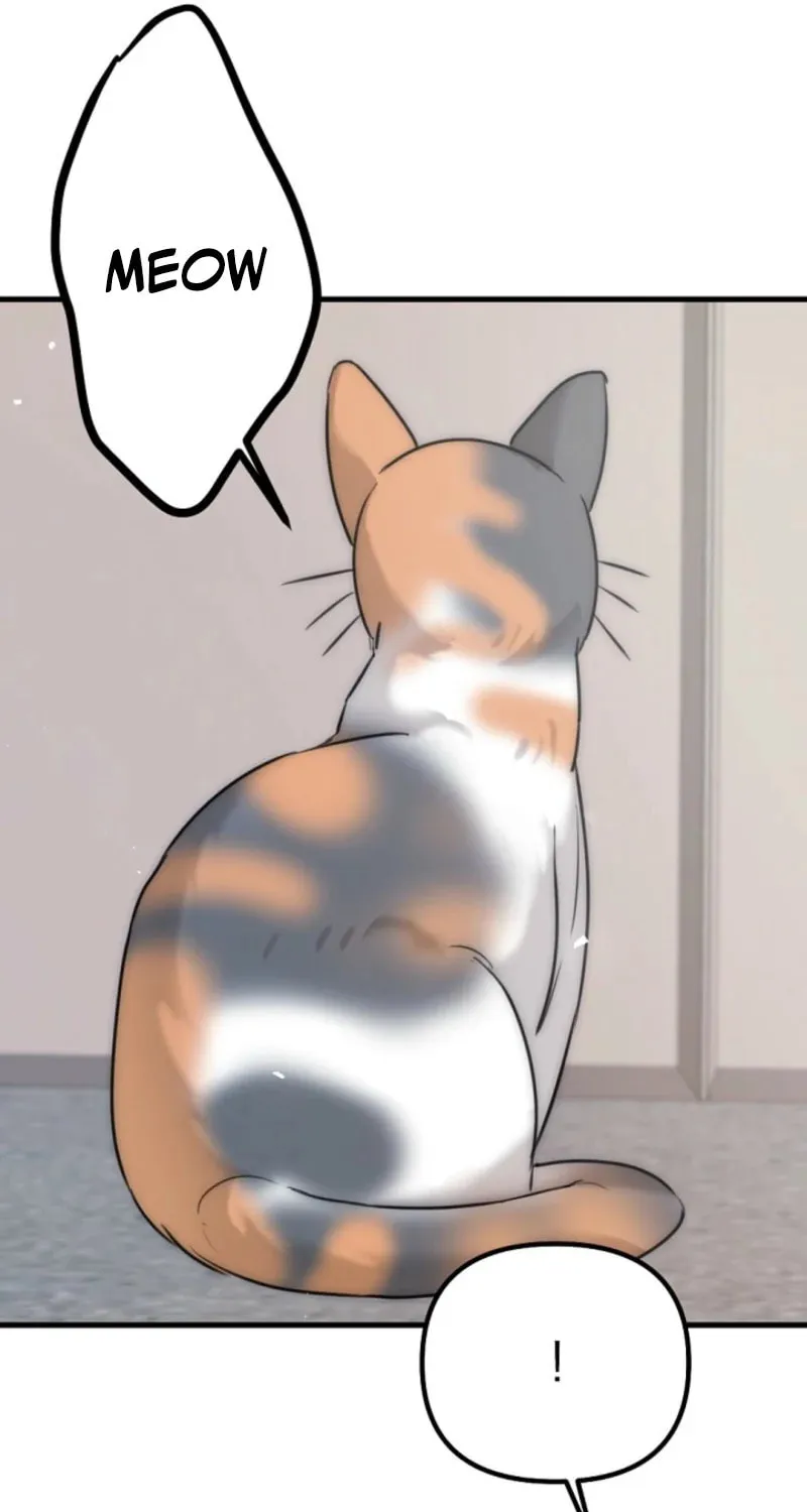 Chapter 4 - Image 70