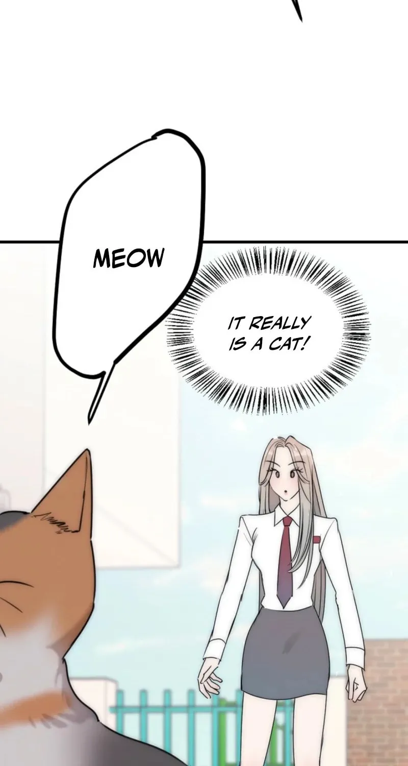 Chapter 4 - Image 71