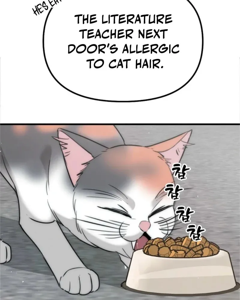 Chapter 5 - Image 12