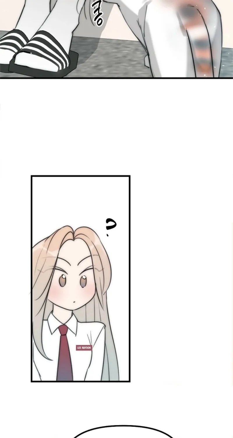 Chapter 8 - Image 44