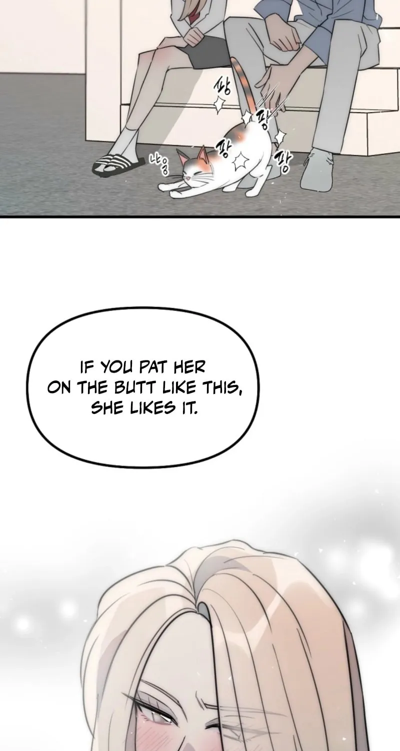 Chapter 8 - Image 49