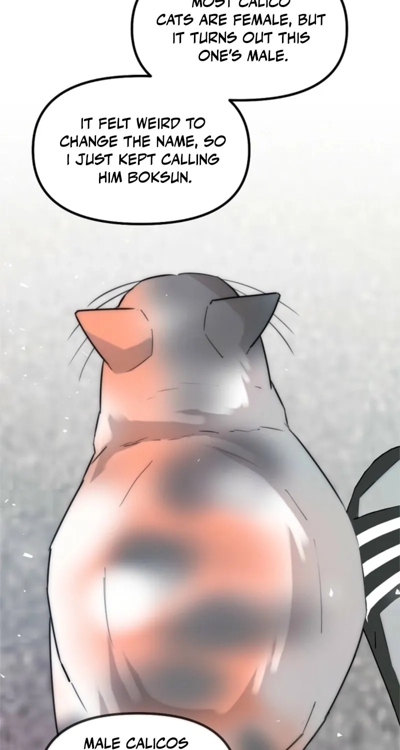 Chapter 8 - Image 54