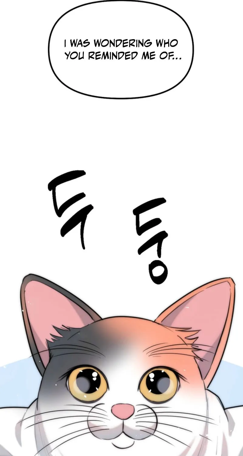 Chapter 9 - Image 11