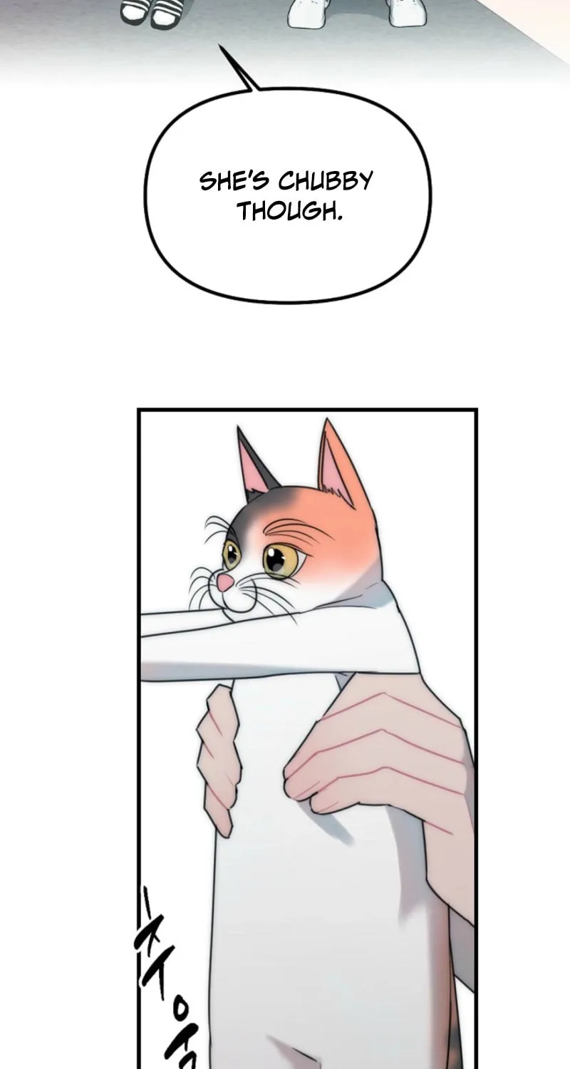 Chapter 9 - Image 16