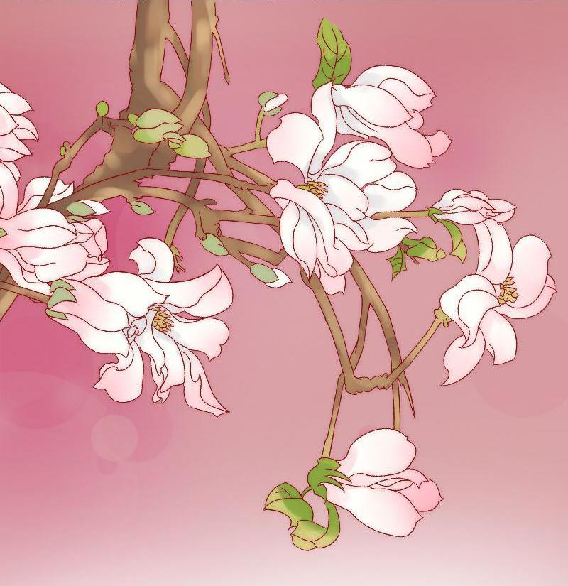 Chapter 6 - Image 2