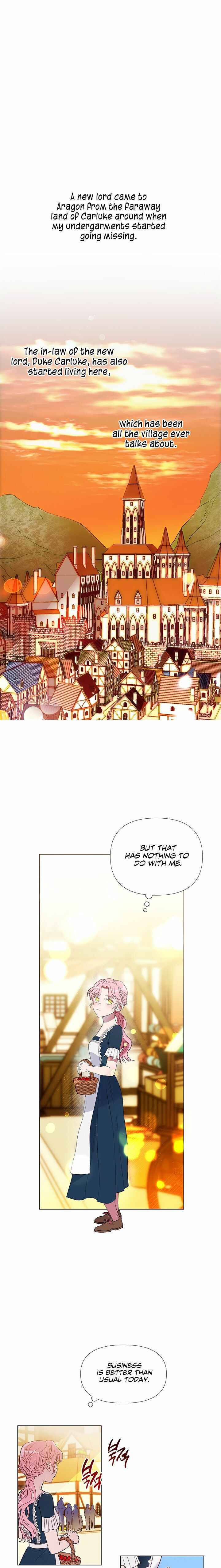 Chapter 1 - Image 10
