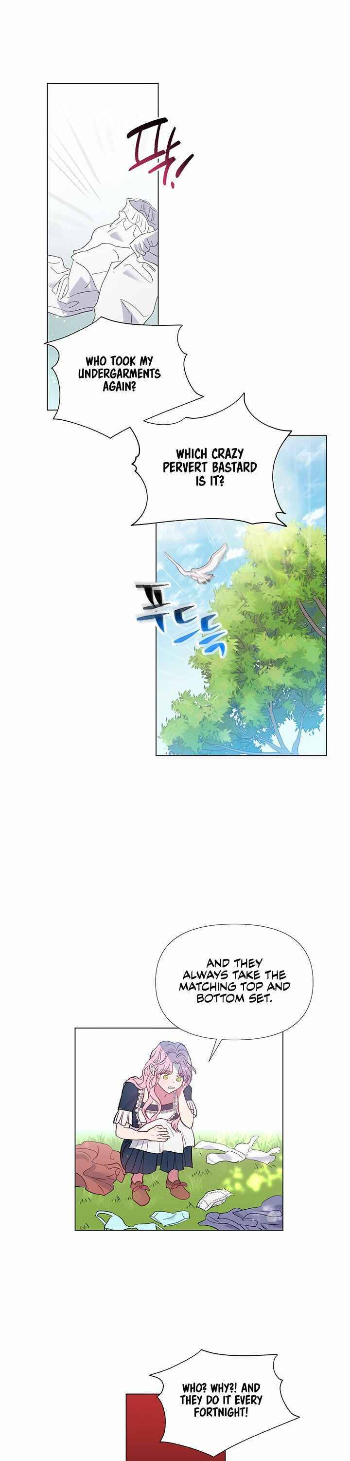 Chapter 1 - Image 5