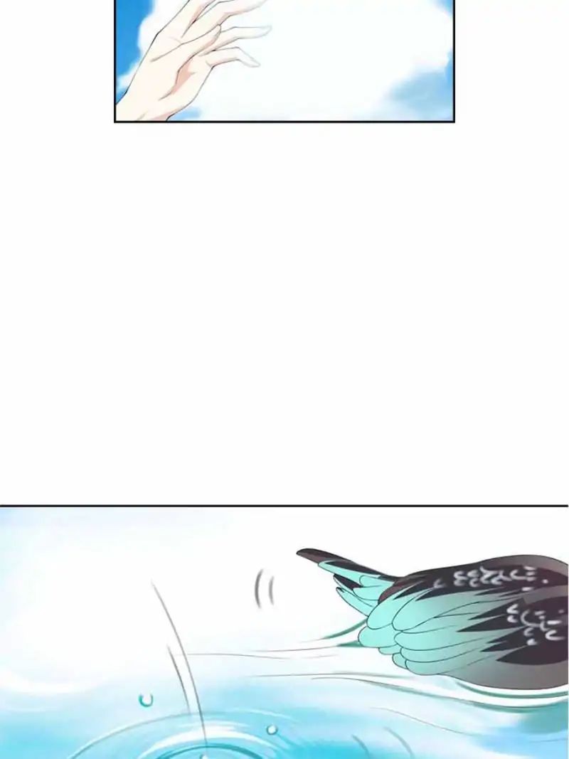 Chapter 12 - Image 7