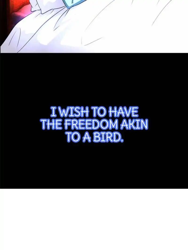 Chapter 5 - Image 4