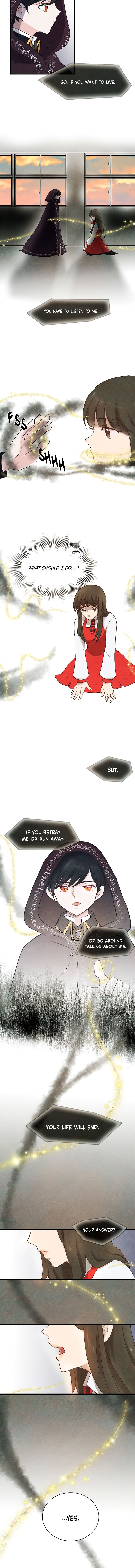 Chapter 3 - Image 8